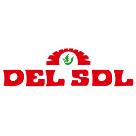 Del Sol